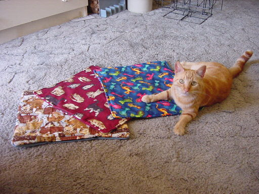 catmat.jpg