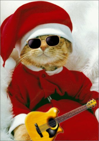 christmaspussy.jpg