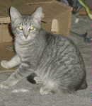 litlby2.jpg
